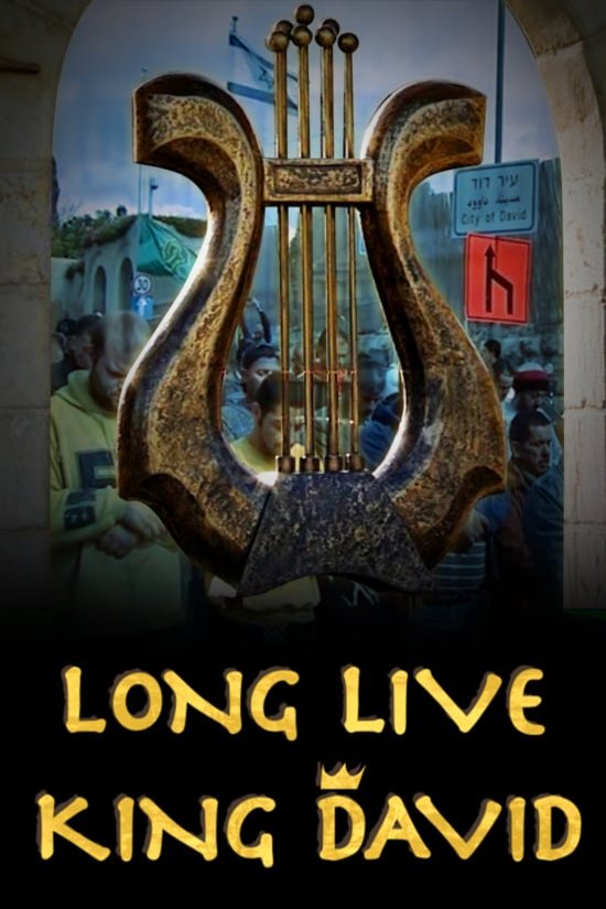 L'affiche du film Long Live King David