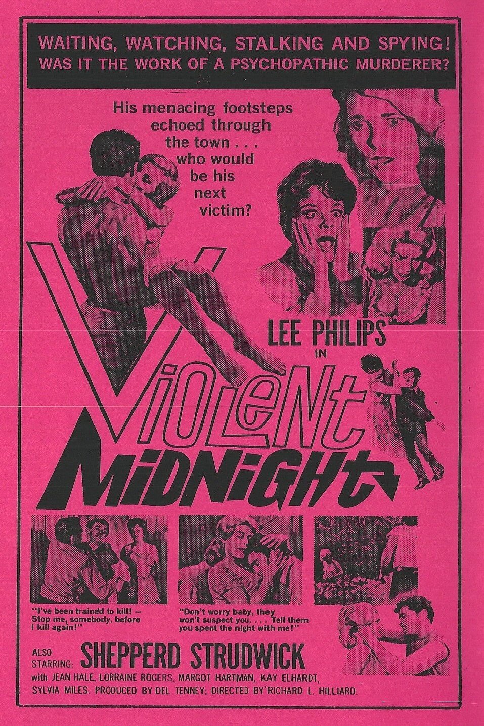 Poster of the movie Violent Midnight