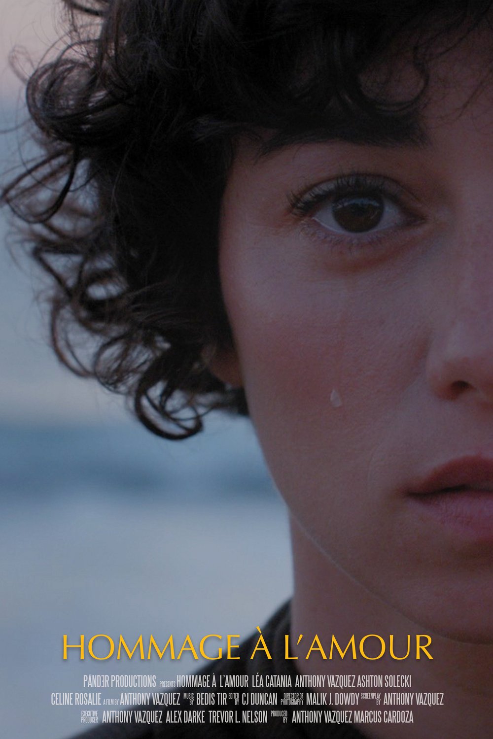 L'affiche du film Hommage à l'amour