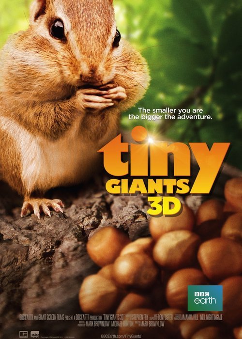 L'affiche du film Petits géants
