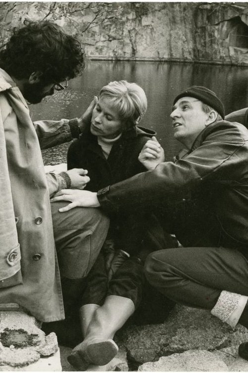 Poster of the movie Ingmar Bergman