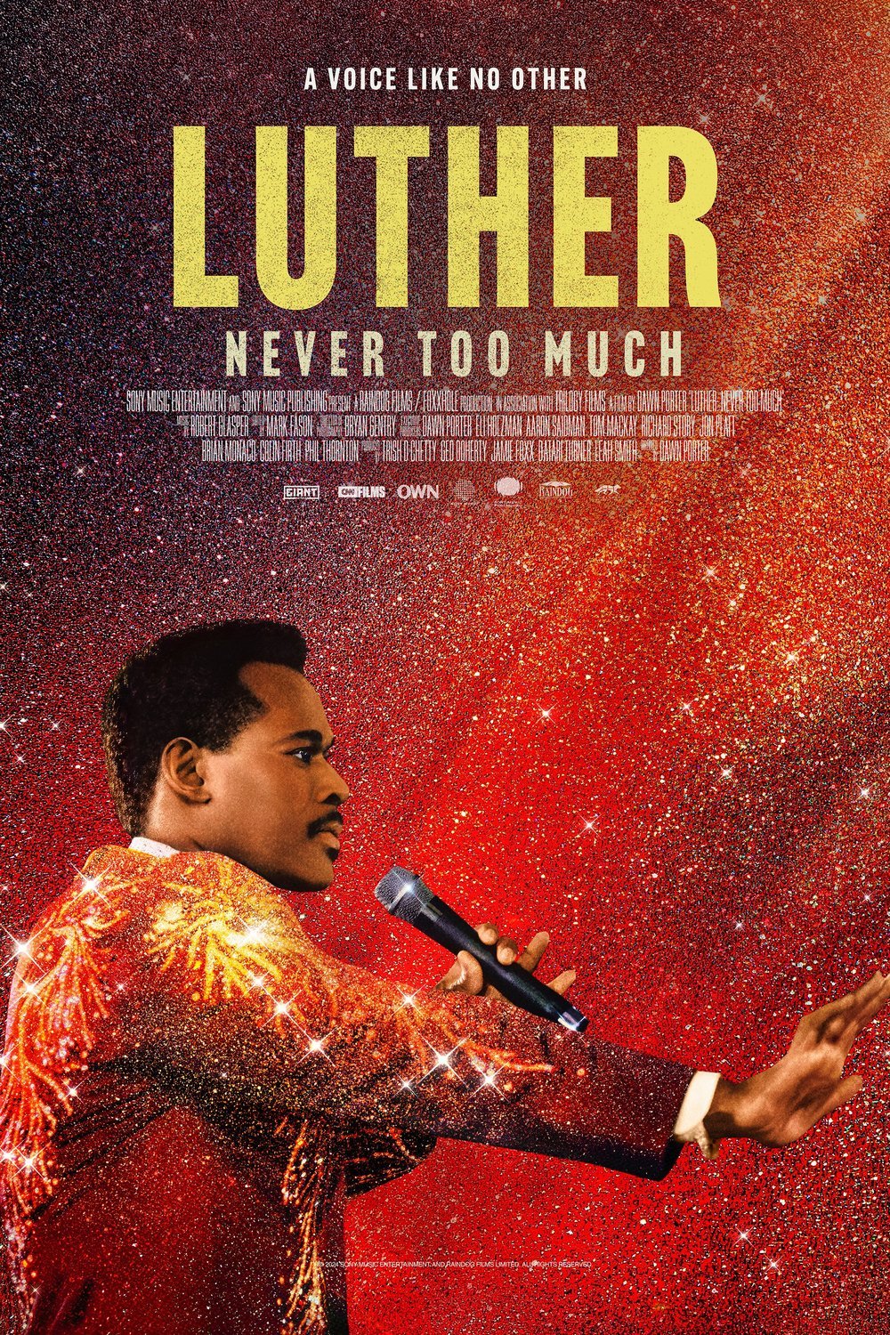 Poster of the movie Luther: Never Too Much
