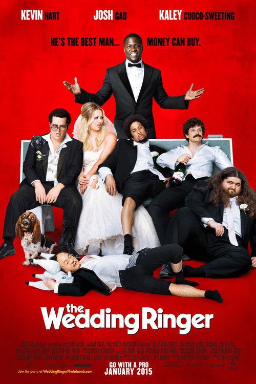Poster of the movie The Wedding Ringer [2015]
