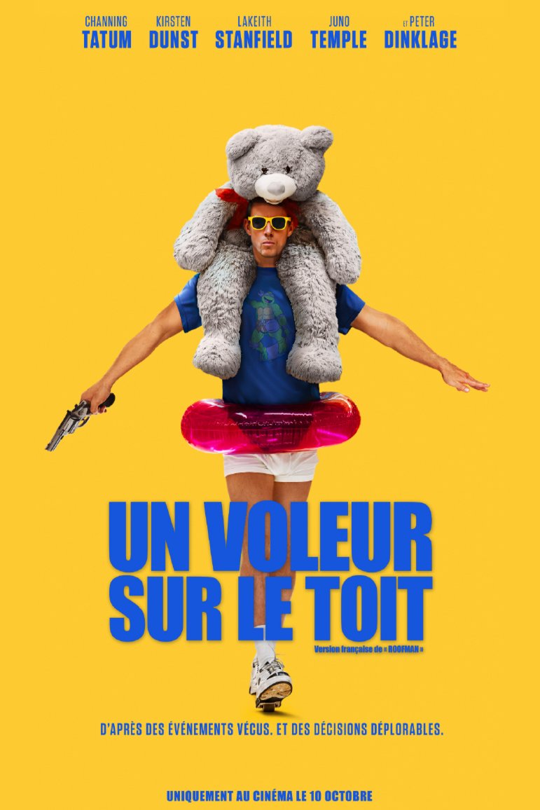 L'affiche du film Un voleur sur le toit