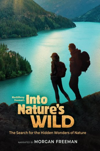 Poster of the movie Into America's Wild