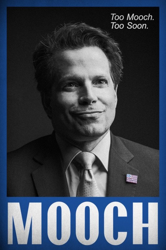 L'affiche du film Mooch