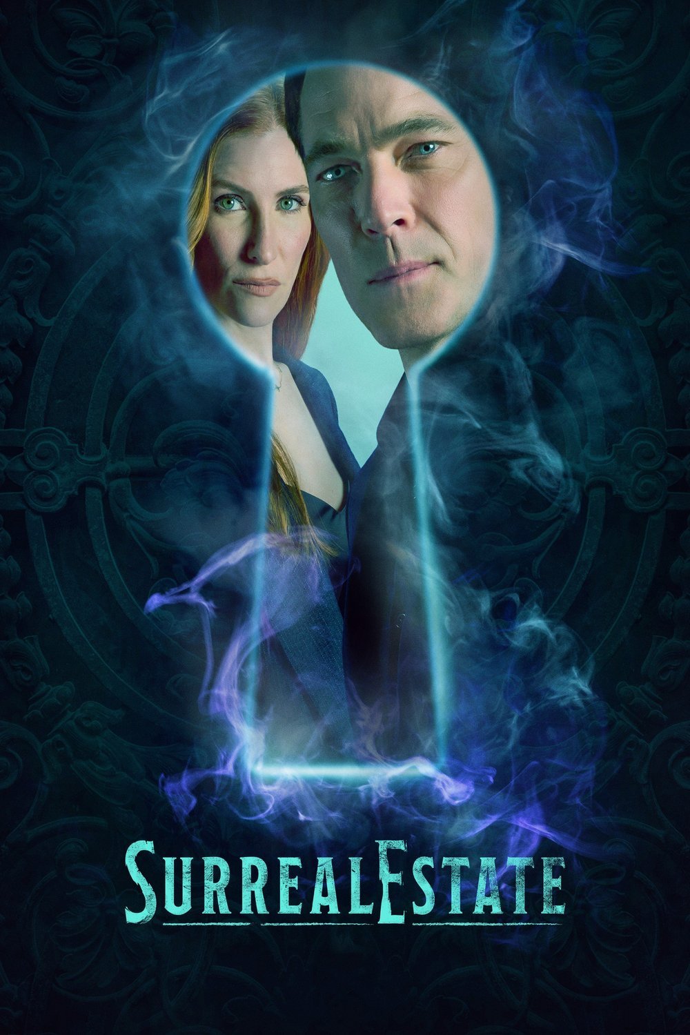 L'affiche du film The Surrealtor