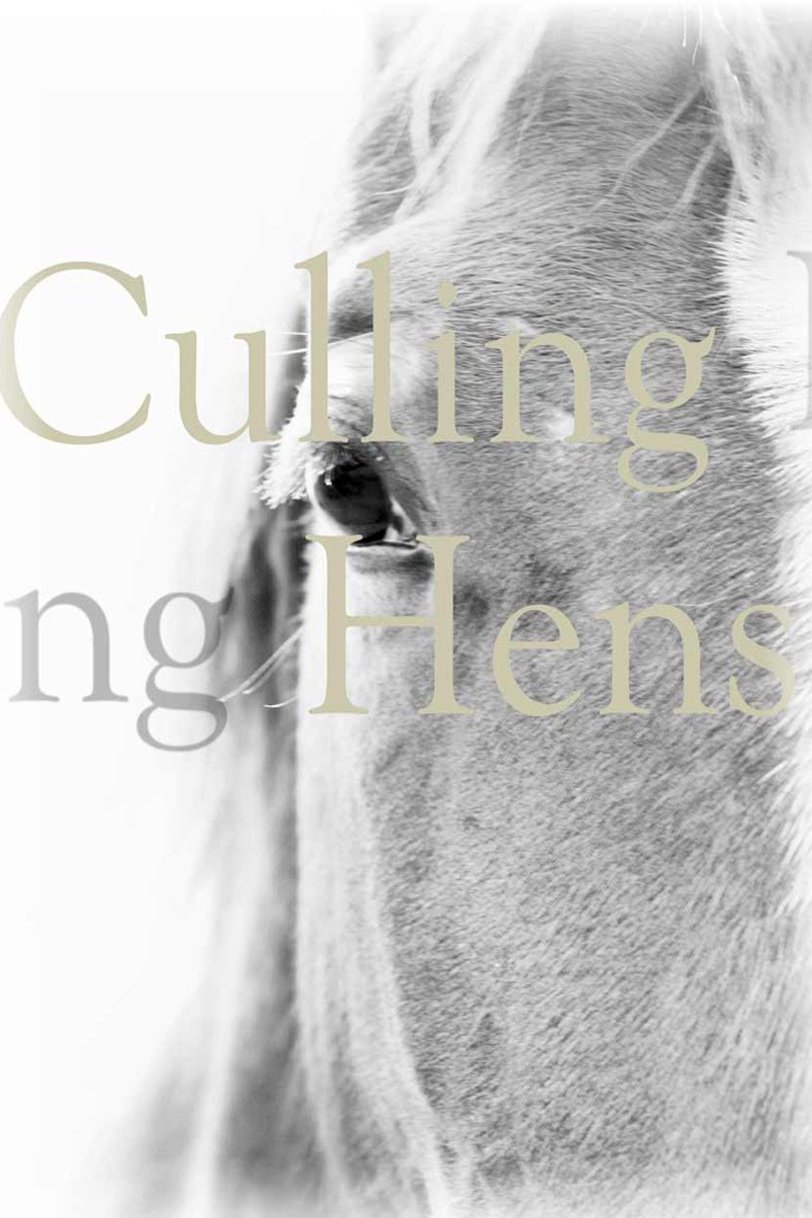 L'affiche du film Culling Hens