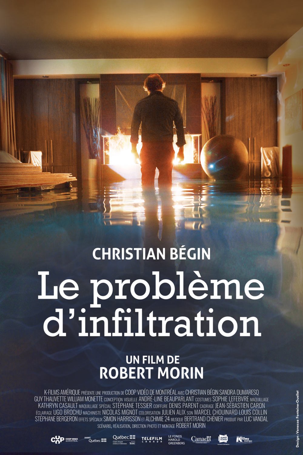 L'affiche du film Le Problème d'infiltration