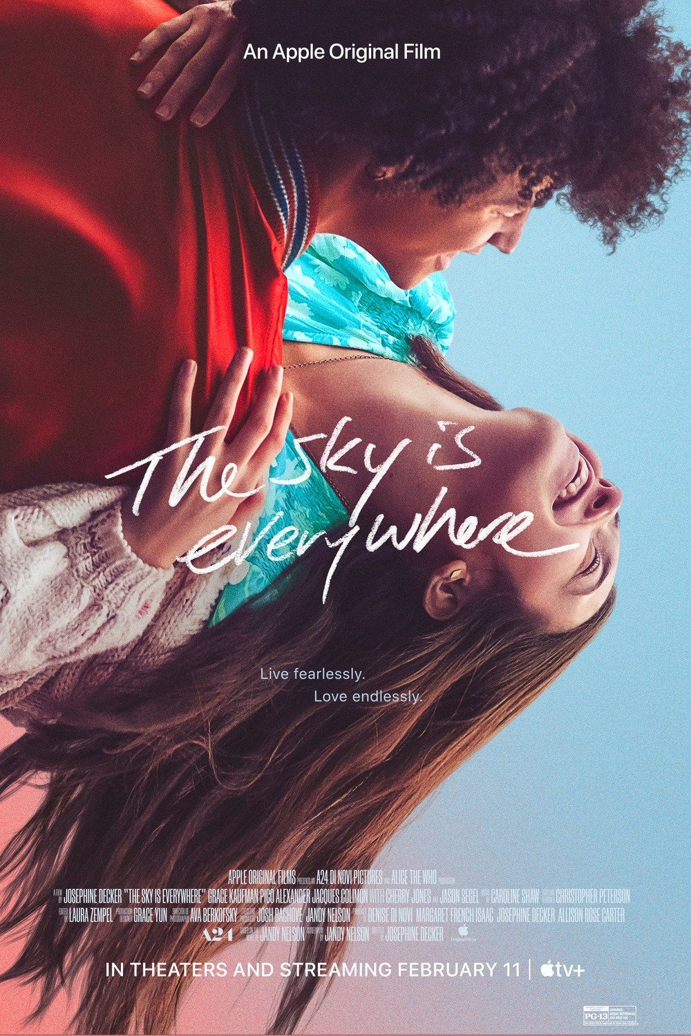 L'affiche du film The Sky Is Everywhere