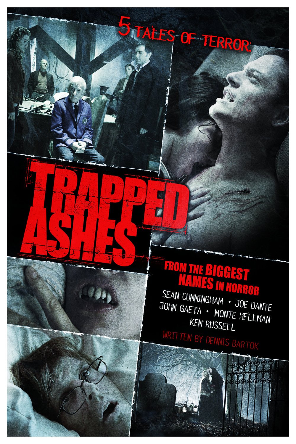 L'affiche du film Trapped Ashes