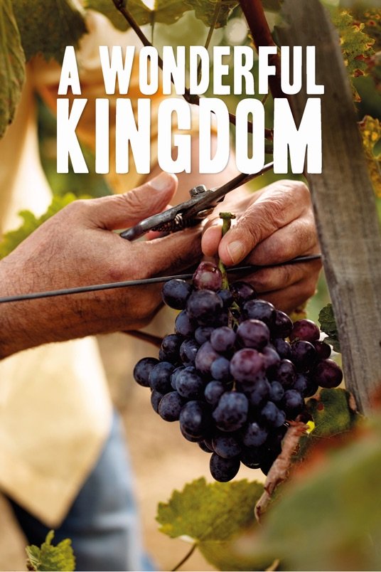 L'affiche du film A Wonderful Kingdom