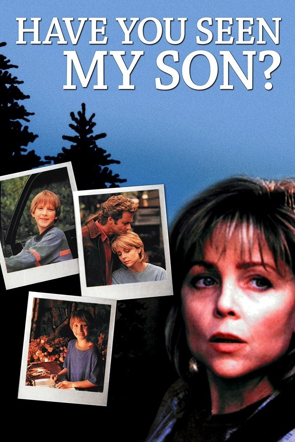Poster of the movie Have You Seen My Son