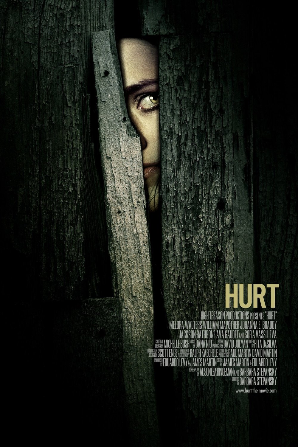 Poster of the movie Hurt