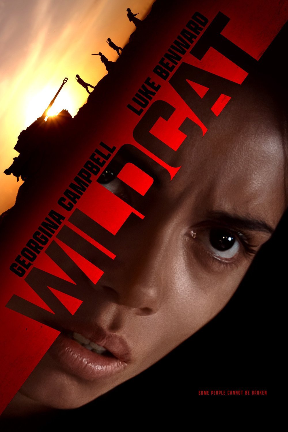 L'affiche du film Wildcat