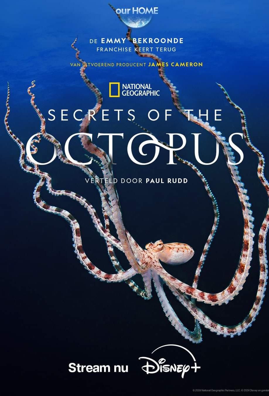 Poster of the movie Secrets of the Octopus [2024]