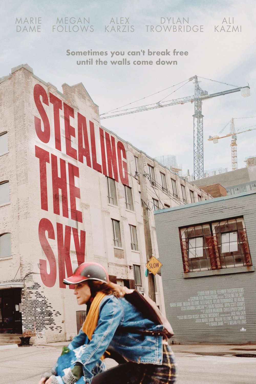 L'affiche du film Stealing the Sky