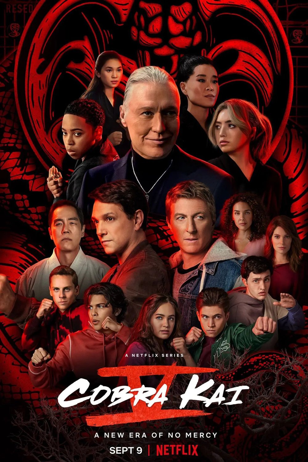 L'affiche du film Cobra Kai