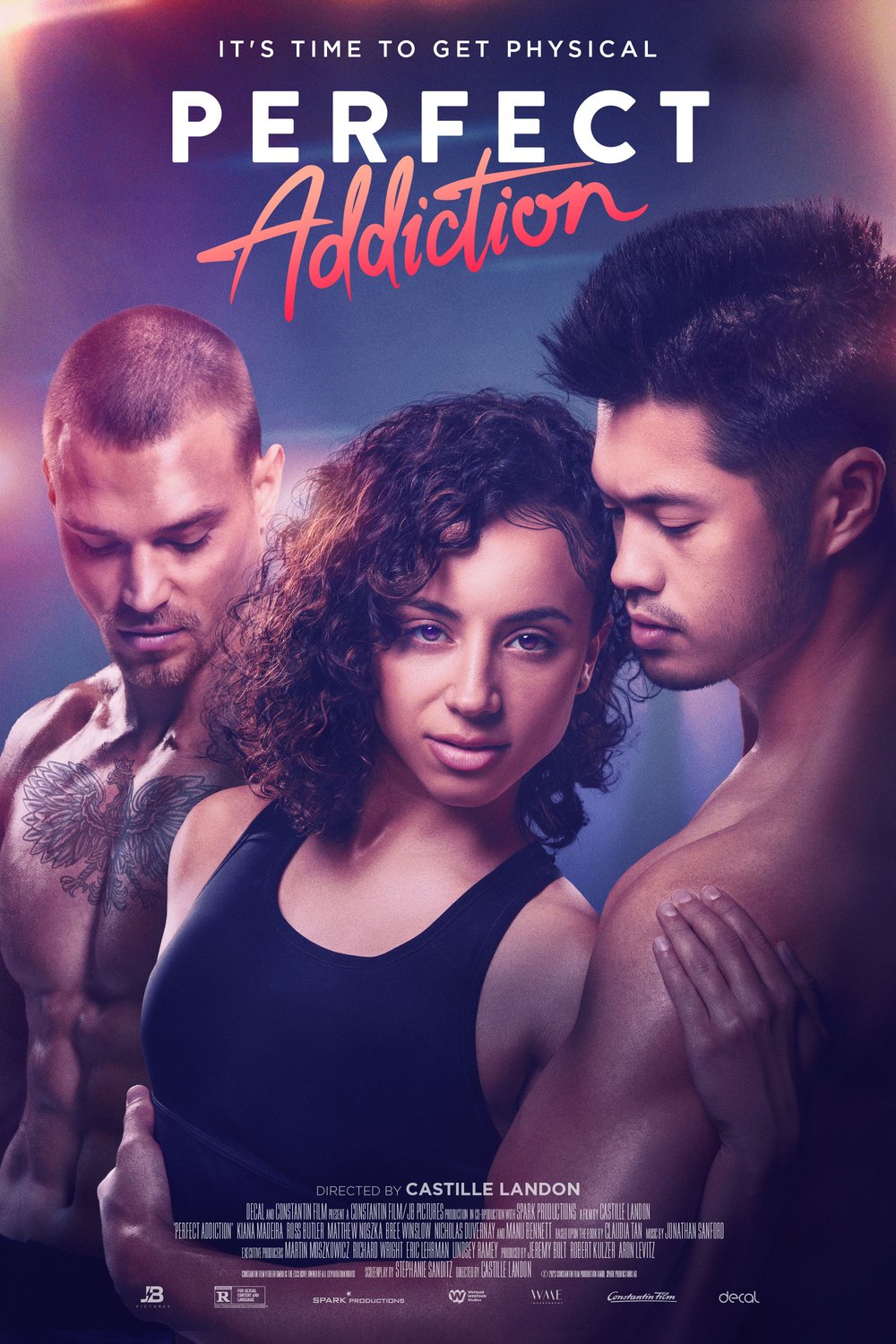 L'affiche du film Perfect Addiction