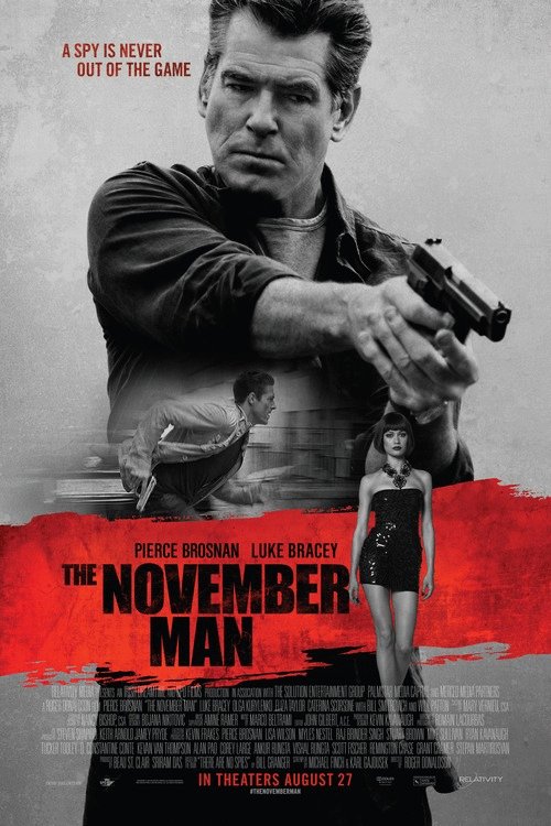 Poster of the movie The November Man