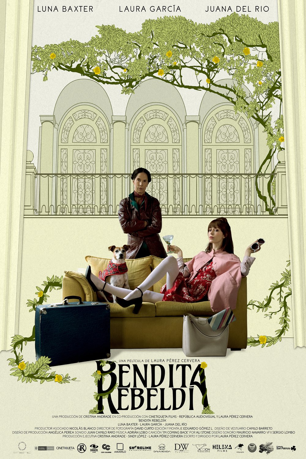 Poster of the movie Accidental Blessing