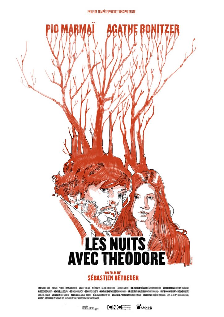 L'affiche du film Les Nuits avec Theodore