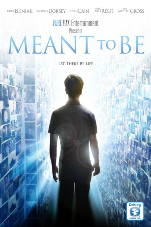L'affiche du film Meant to Be