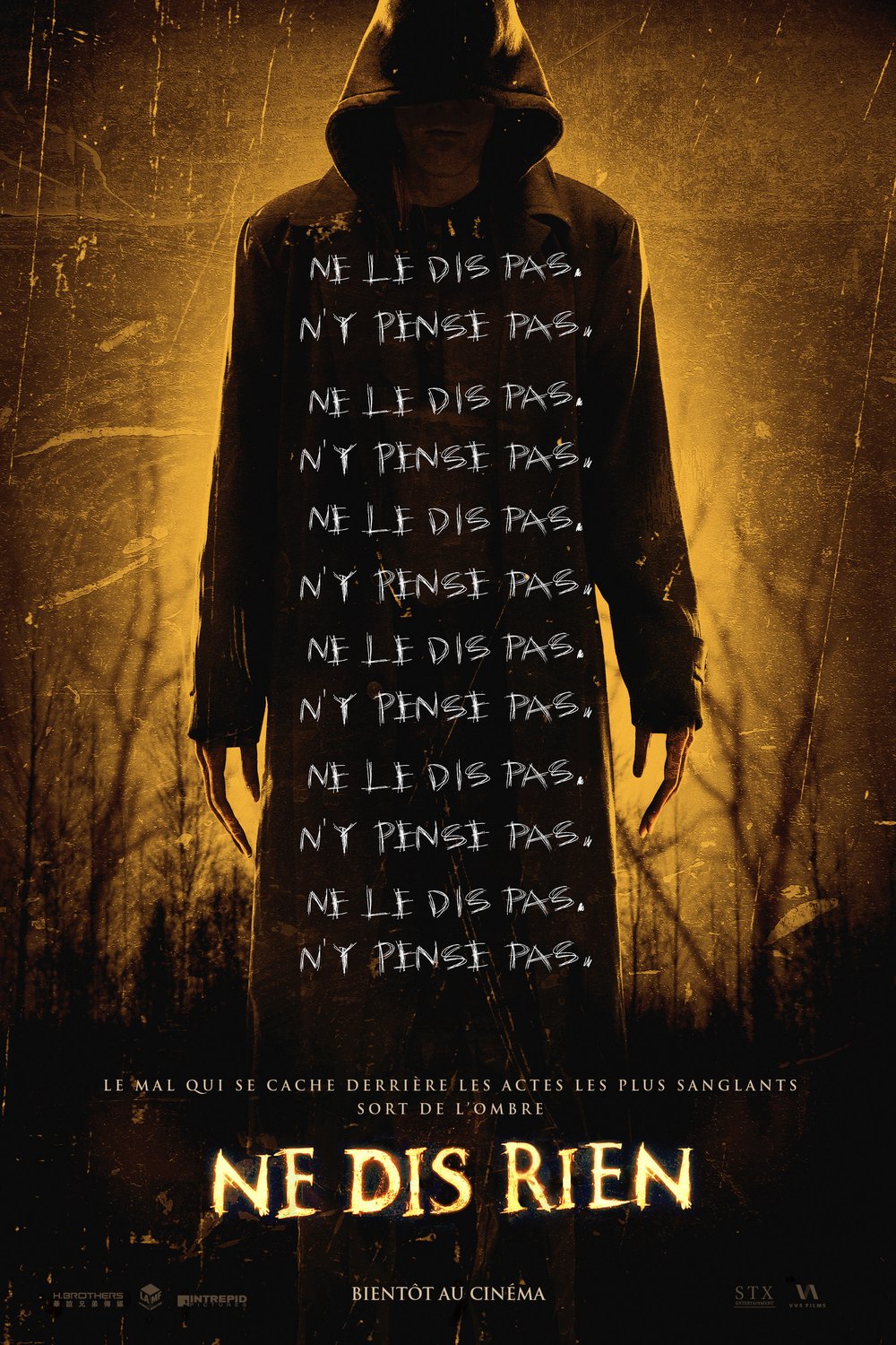 L'affiche du film Ne dis rien