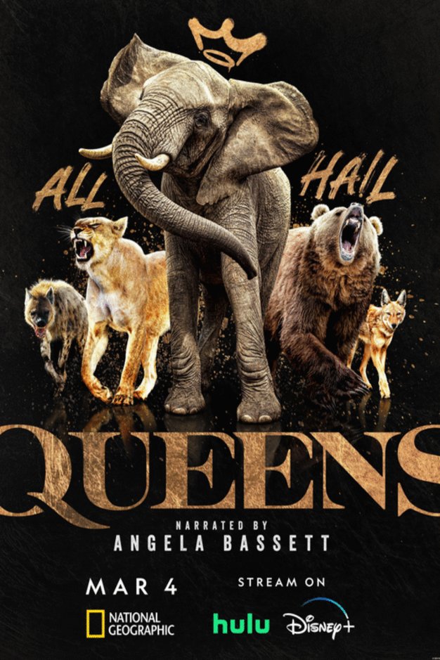 L'affiche du film Queens - Tv series