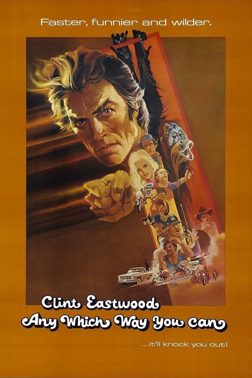 L'affiche du film Any Which Way You Can