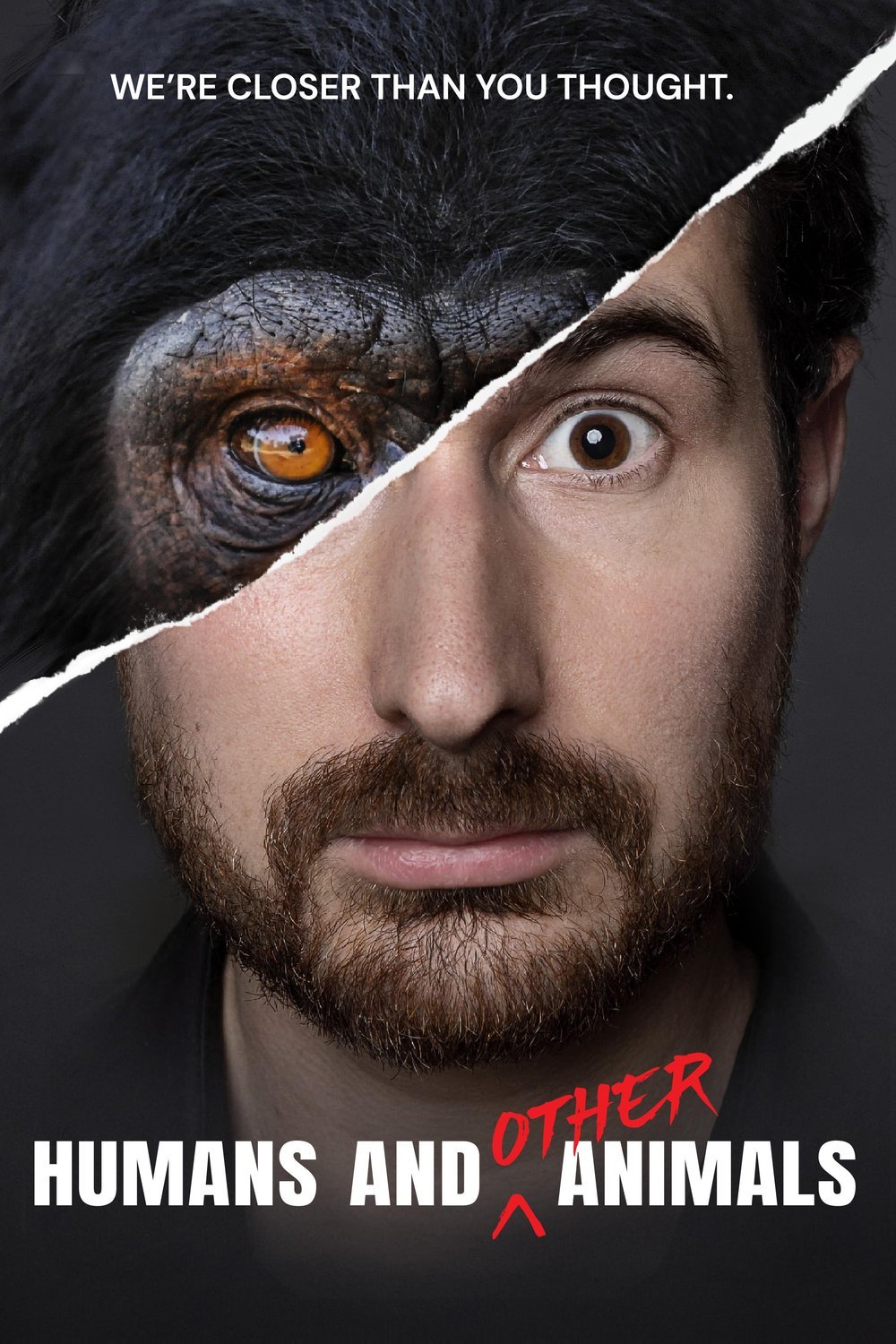 Poster of the movie Humans and Other Animals