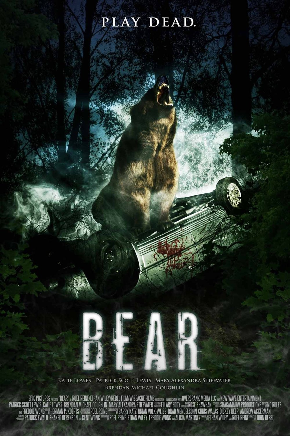 L'affiche du film Bear