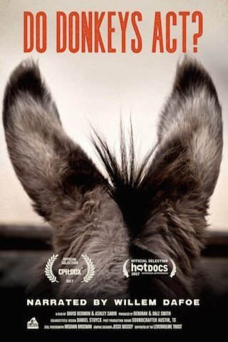 L'affiche du film Do Donkeys Act?