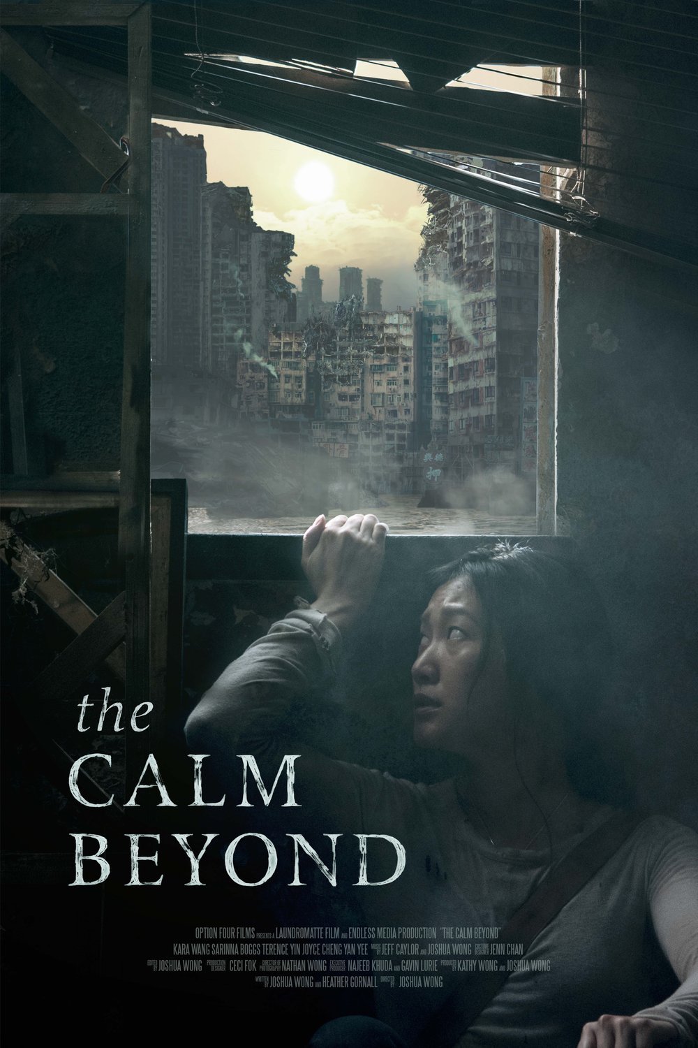 L'affiche du film The Calm Beyond