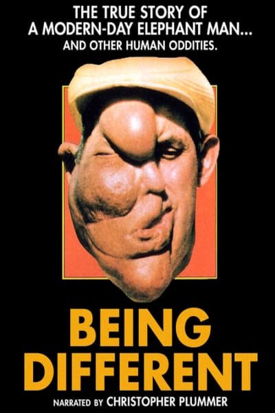 L'affiche du film Being Different