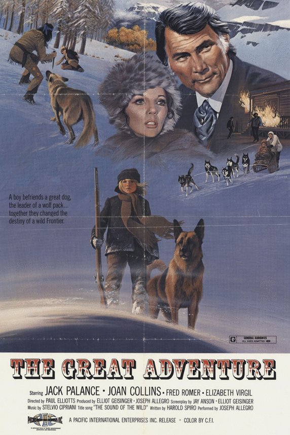 L'affiche du film Il richiamo del lupo