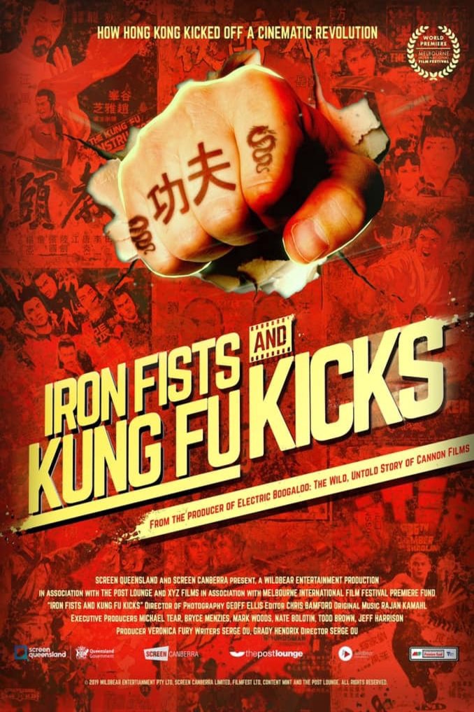 L'affiche du film Iron Fists and Kung Fu Kicks