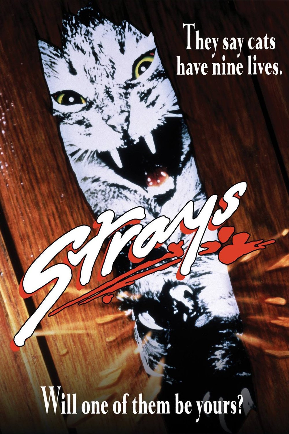 L'affiche du film La nuit des fauves