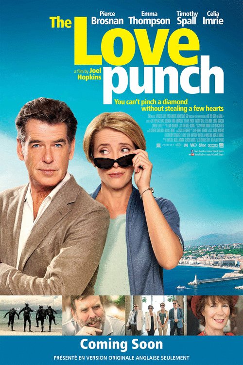 Poster of the movie The Love Punch [2013]