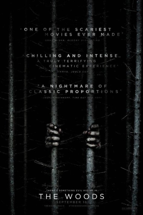L'affiche du film The Woods