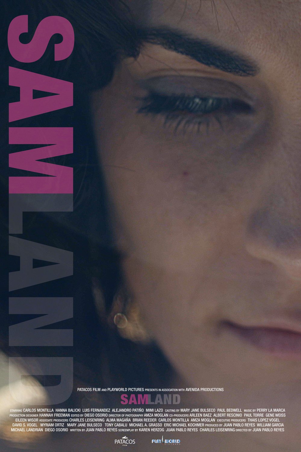 L'affiche du film Samland