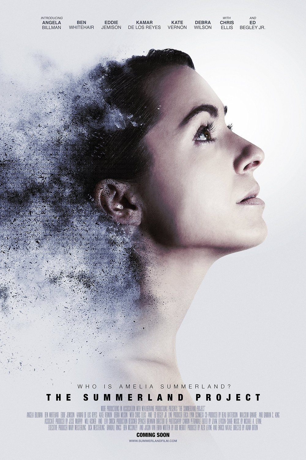 L'affiche du film Amelia 2.0