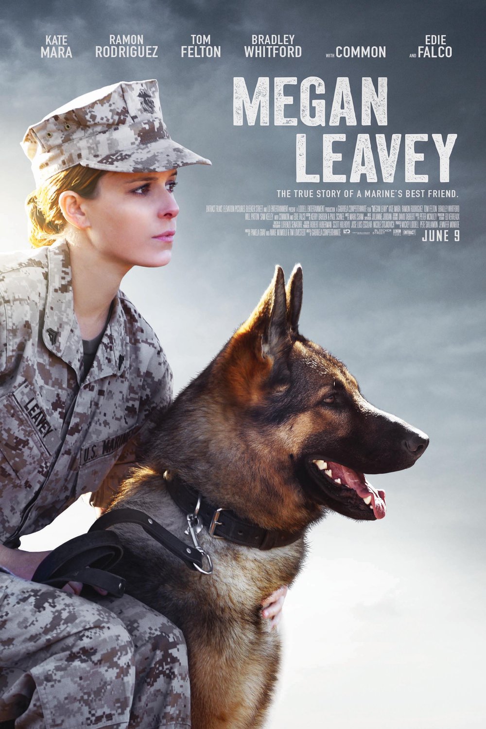 Poster of the movie Megan Leavey [2017]