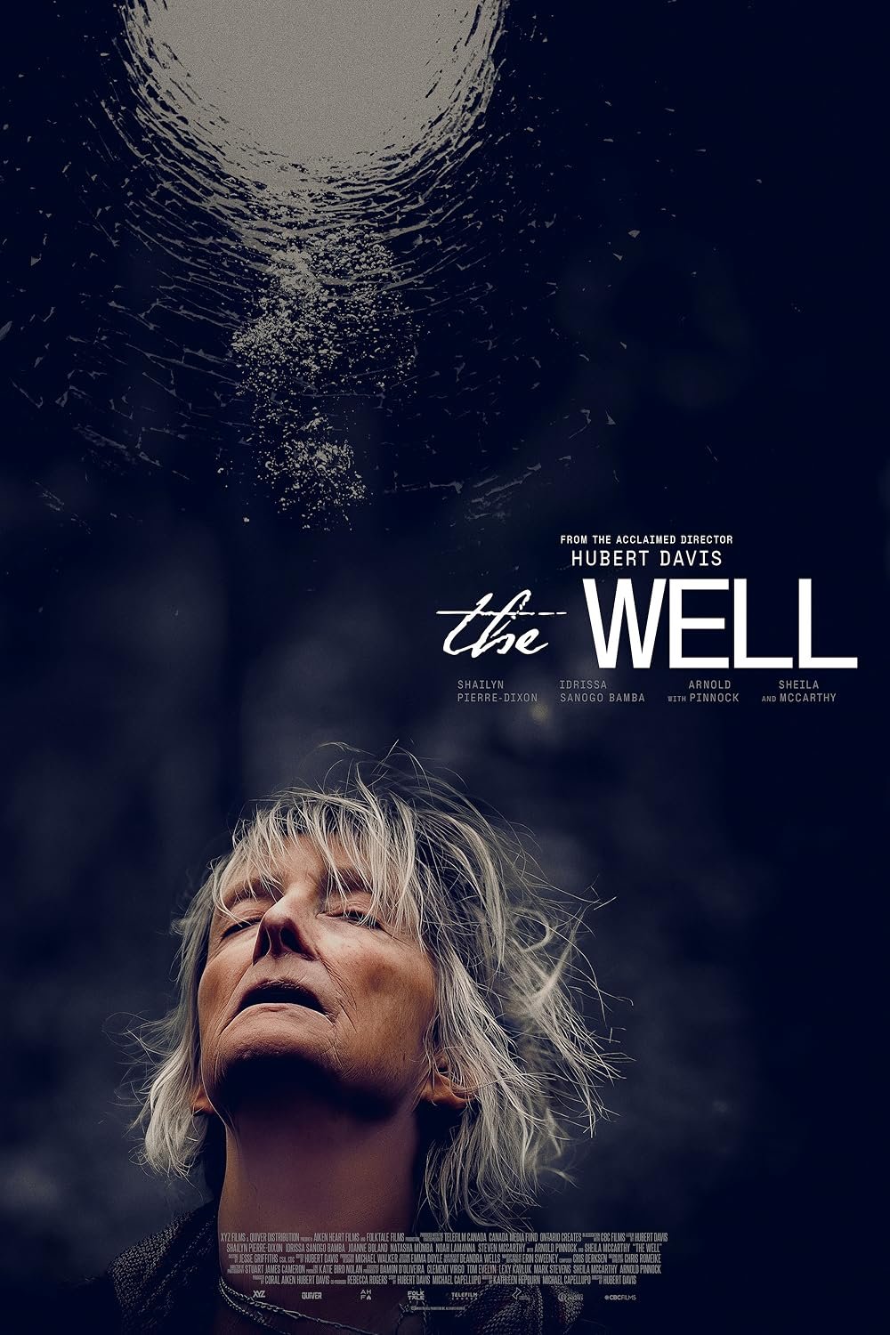 Poster of the movie The Well [2025]