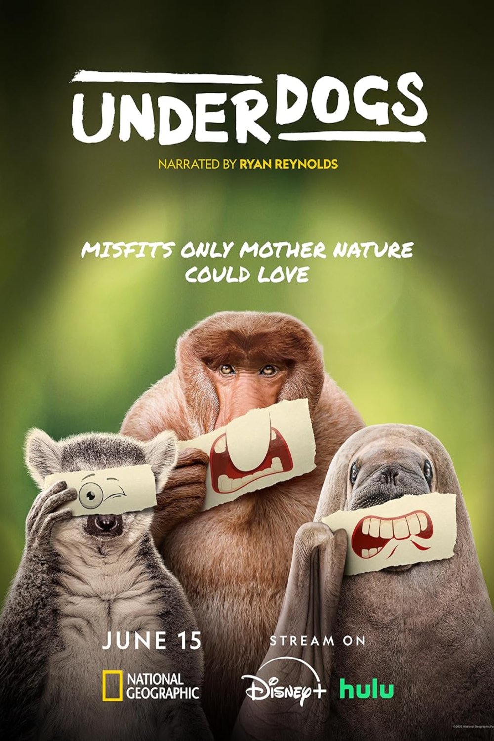 L'affiche du film Underdogs