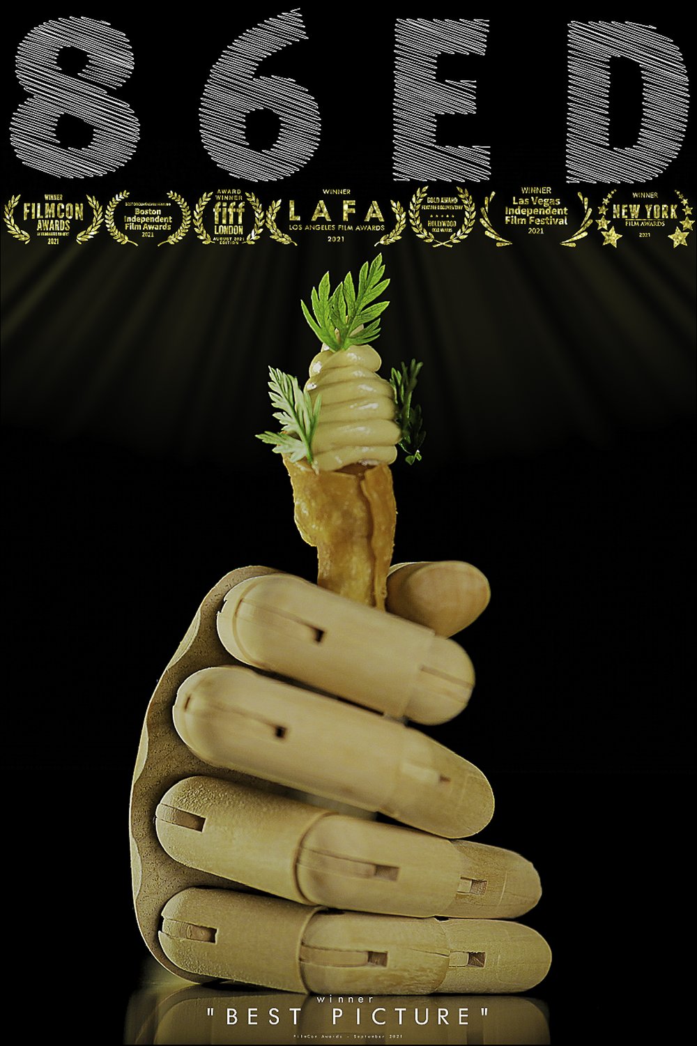 L'affiche du film 86ED
