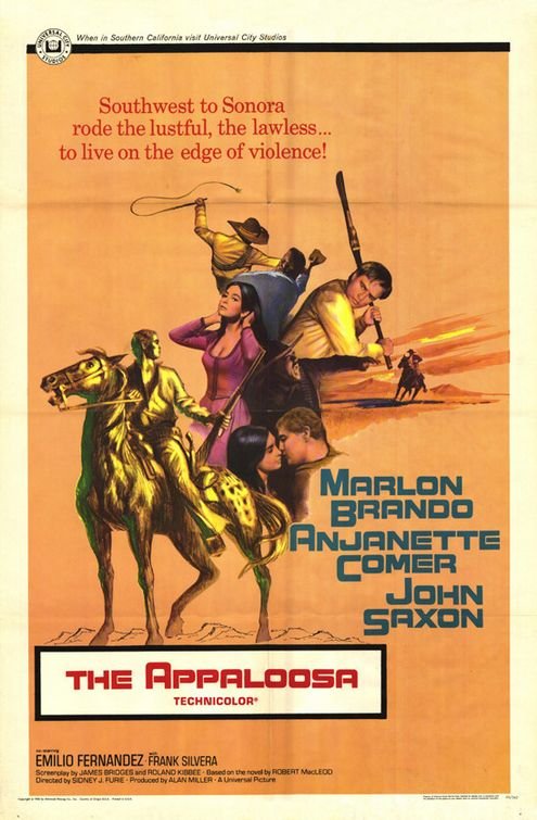 Poster of the movie The Appaloosa