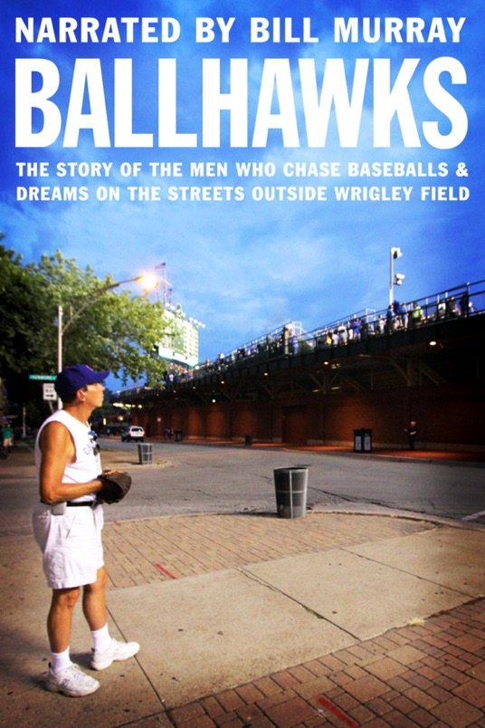 Poster of the movie Ballhawks