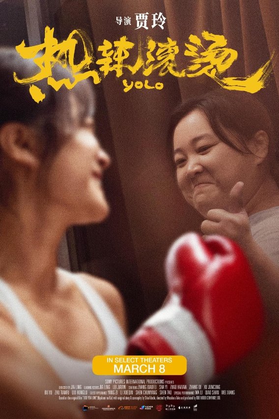 Poster of the movie Yolo [2024]