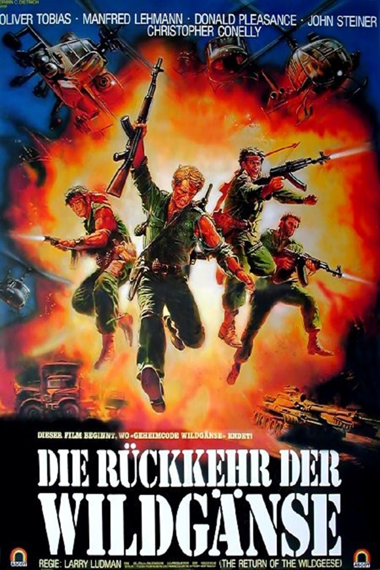 L'affiche du film Cobra Mission